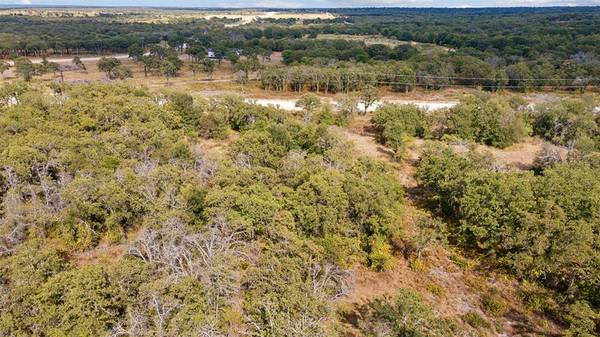 Perrin, TX 76486,Lot 109