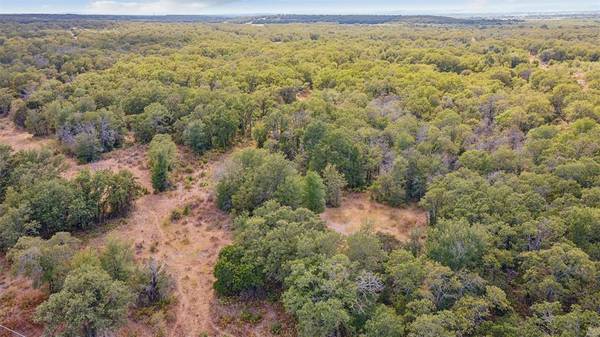 Perrin, TX 76486,Lot 109