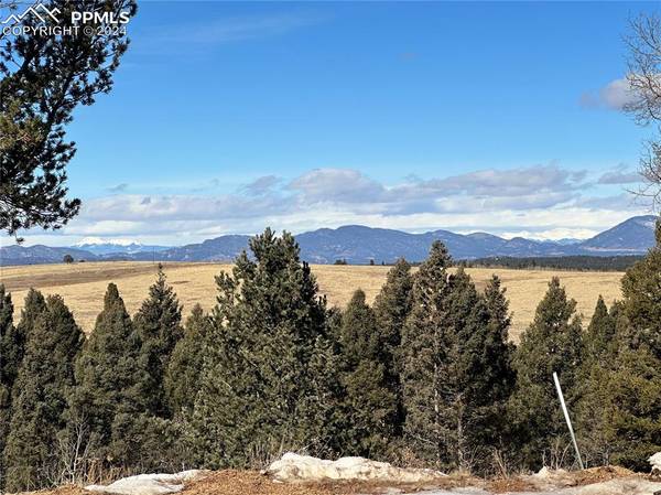 4600 Elk Valley RD, Divide, CO 80814