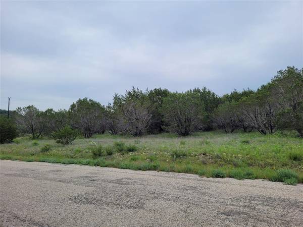 Bluff Dale, TX 76433,520 Lighthouse Drive