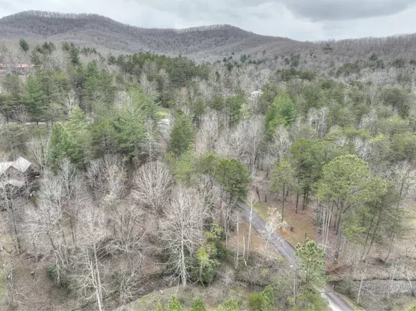 Blairsville, GA 30512,Lot 9 Ivy Log Road