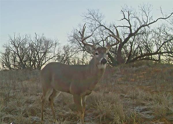 Rule, TX 79548,154 County Road