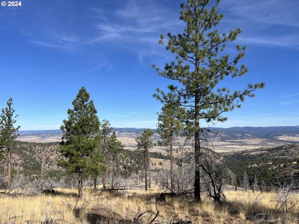 John Day, OR 97845,25422 Baldy Mountain RD