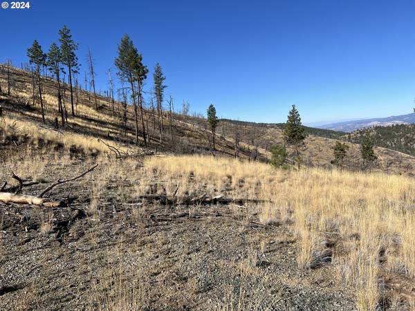 John Day, OR 97845,25422 Baldy Mountain RD