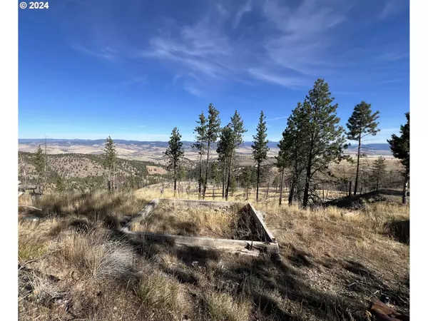 John Day, OR 97845,25422 Baldy Mountain RD