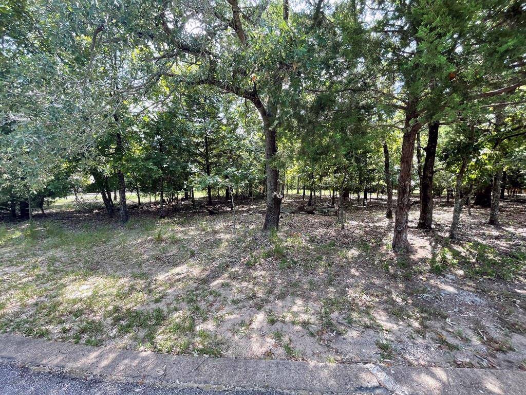 Athens, TX 75752,450 Chelsea Court