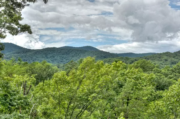 Cherry Log, GA 30522,434 Martin Crossing