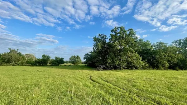 Bremond, TX 76629,14129 Vitera Sand Road