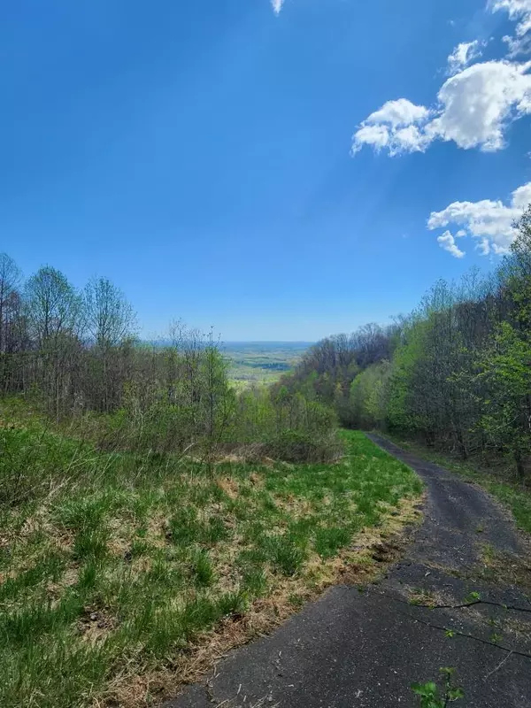 TBD Spring Valley Rd, Fancy Gap, VA 24328