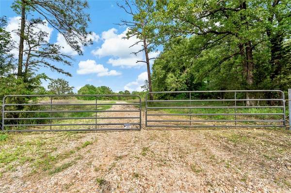 Bagwell, TX 75412,000 CR 2235