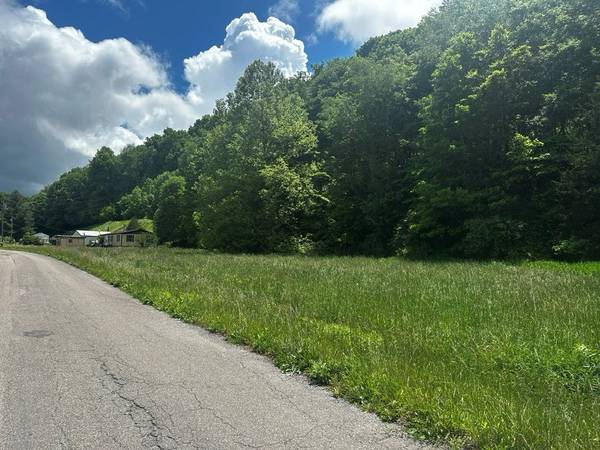 Cedar Bluff, VA 24609,232 G I BROWN ROAD