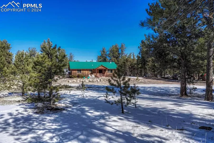 141 Cabin LN, Guffey, CO 80820