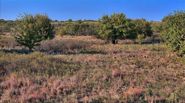 Nocona, TX 76255,TBD Barrel Spring Road