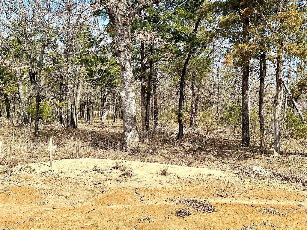 Gordonville, TX 76245,Lot 17 Block A Castle Pines Circle