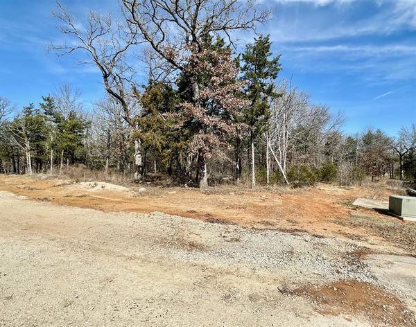 Gordonville, TX 76245,Lot 17 Block A Castle Pines Circle