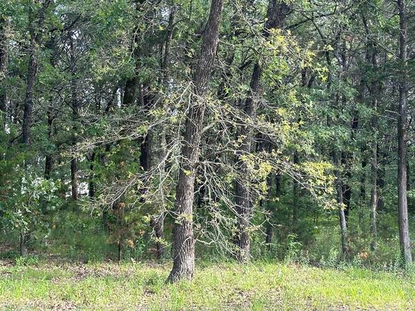 Gordonville, TX 76245,Lot 17 Block A Castle Pines Circle