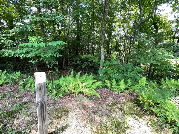 Lot 37 Fodder Creek Mill Drive, Hiawassee, GA 30546