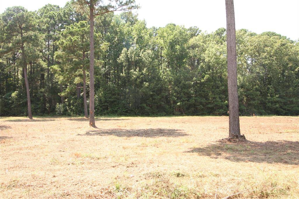 Vivian, LA 71082,Lot 4 Peaceful Pines