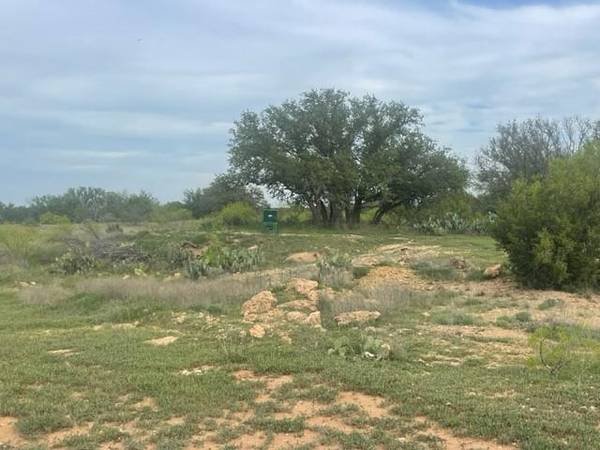 Santa Anna, TX 76878,122 Private Road 2562