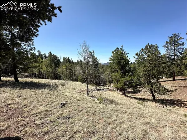 Florissant, CO 80816,186 Kenosha WAY