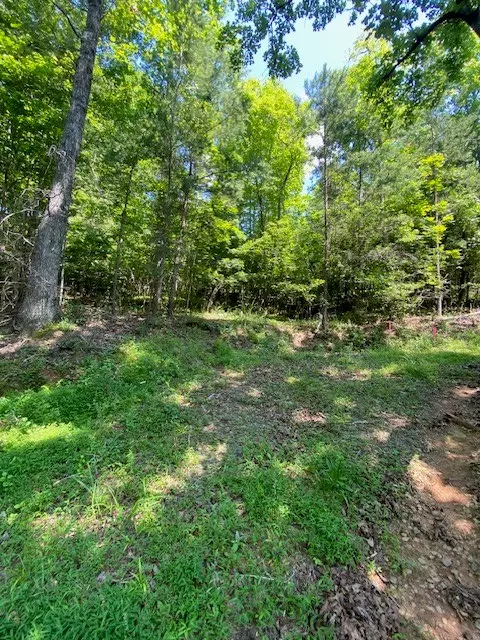 Brasstown, NC 28902,Lot 9 Brasstown Acres Drive