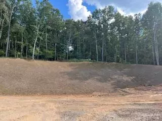 Mineral Bluff, GA 30559,na Shady Lane