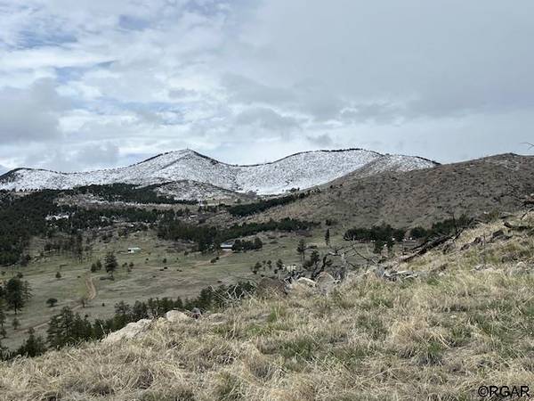 690 Shannon Trail, Cotopaxi, CO 81223