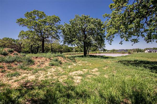 Weatherford, TX 76087,1019 Bluebonnet Ridge