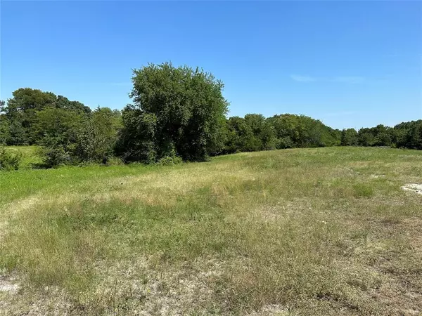 Tom Bean, TX 75489,Lot 4 East Ball Street