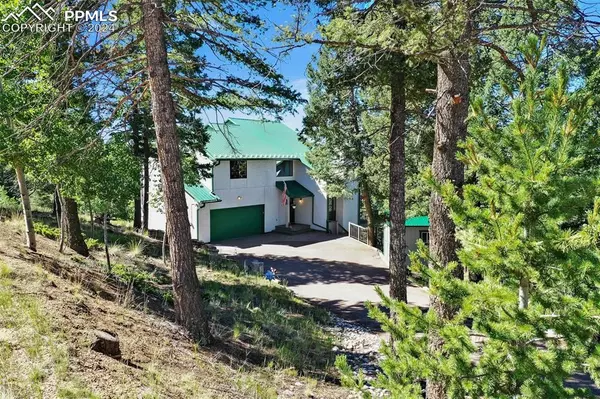 55 Badger Lake CIR, Divide, CO 80814