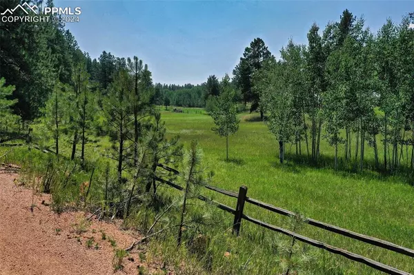 Woodland Park, CO 80863,28400 N Highway 67