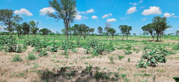 Corsicana, TX 75110,Lot 20 Camp fleming Court