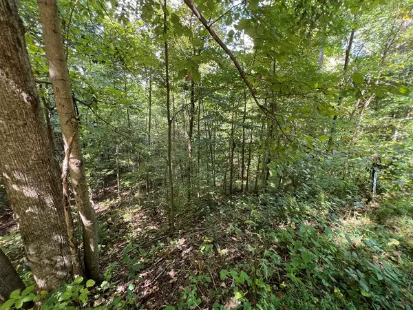 Hayesville, NC 28904,Lot 15 Shiloh Development