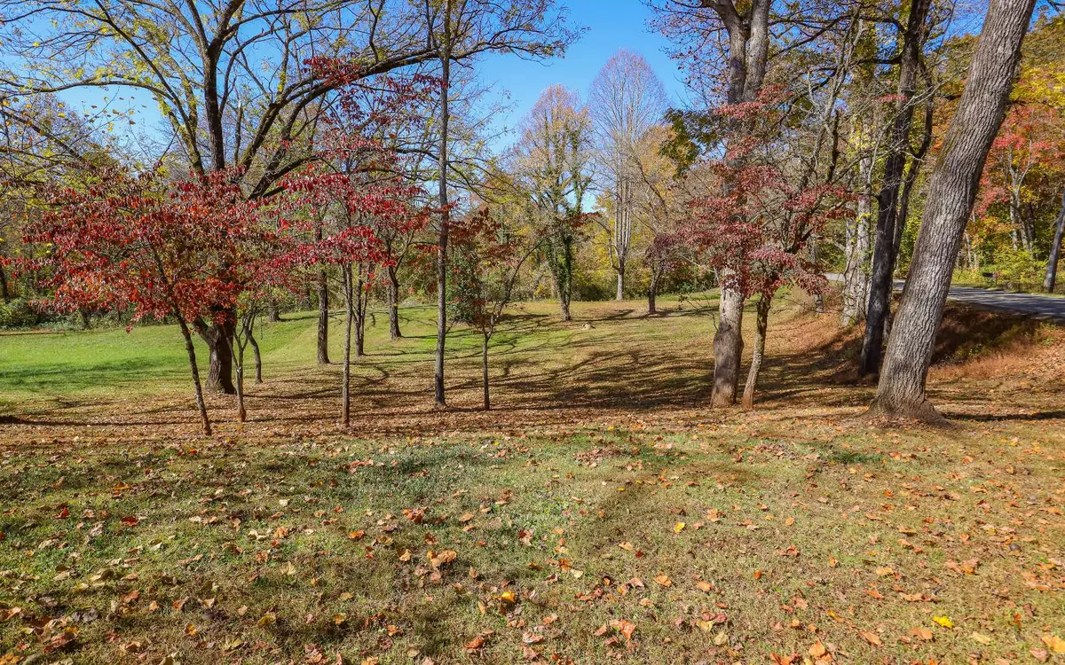 Hayesville, NC 28904,LOT 1 Hinton Overlook