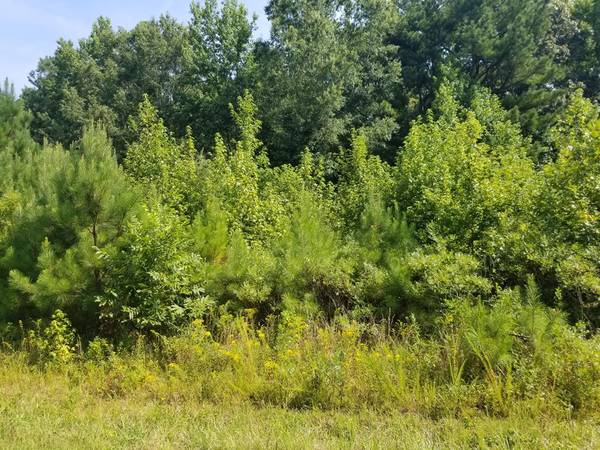 Lot # 12 Arbor Drive, Roanoke Rapids, NC 27870