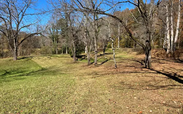 Hayesville, NC 28904,LOT 1 Hinton Overlook