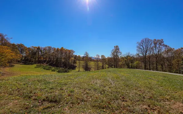 Hayesville, NC 28904,LOT 3 Hinton Overlook