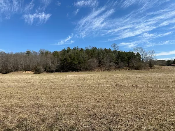 Murphy, NC 28906,Lot 10 Holly Point Drive