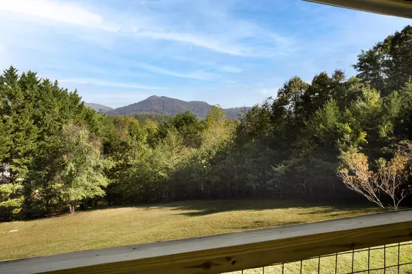 Hiawassee, GA 30546,557 Hidden Pines Court