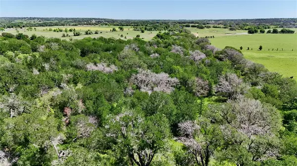 Valley Mills, TX 76689,Lot 3 County Road 3310