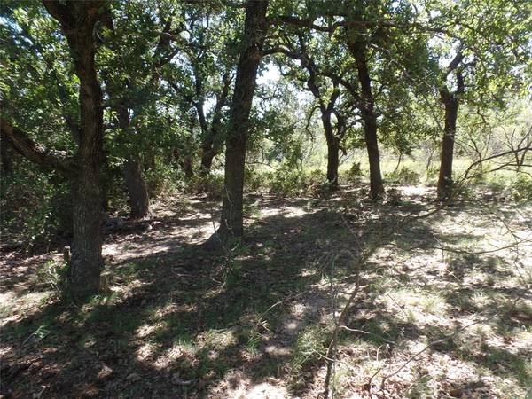 Stephenville, TX 76401,TBD CR 387  A