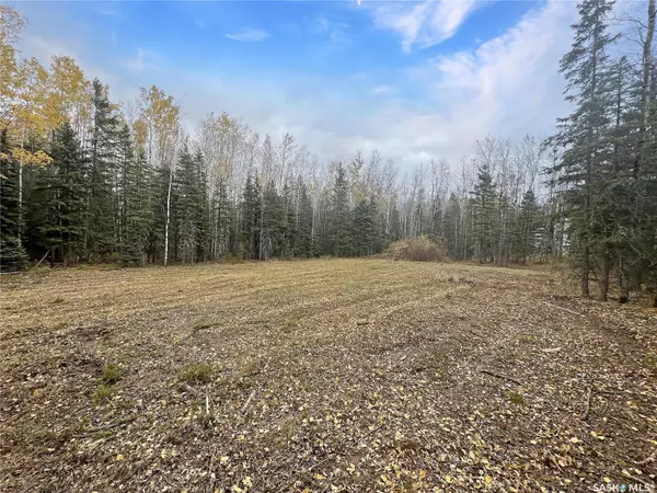 Candle Lake, SK S0J 3E0,404 Aspen WAY