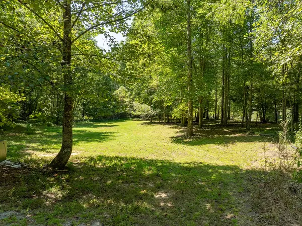 Blue Ridge, GA 30513,1 Hogback Drive