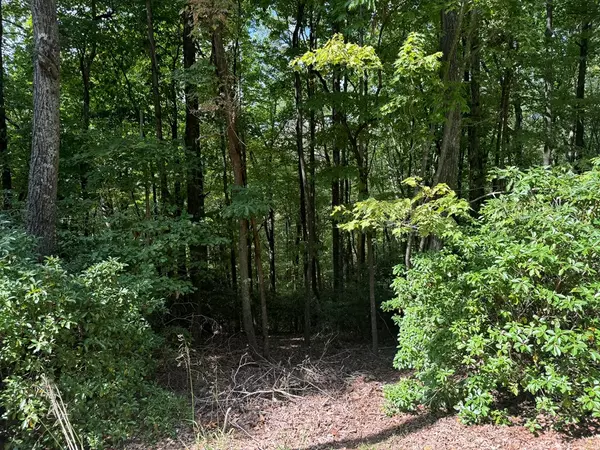 Ellijay, GA 30536,Lot M42 Sleepy Hollow Road