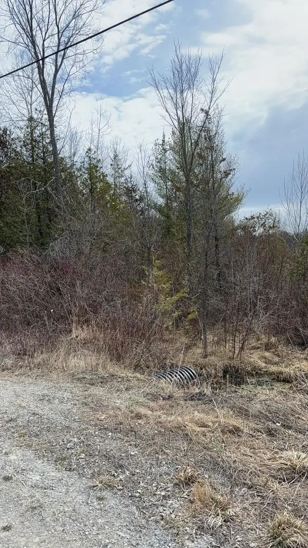 Tyendinaga, ON K0K 2L0,746 Hogs Back RD