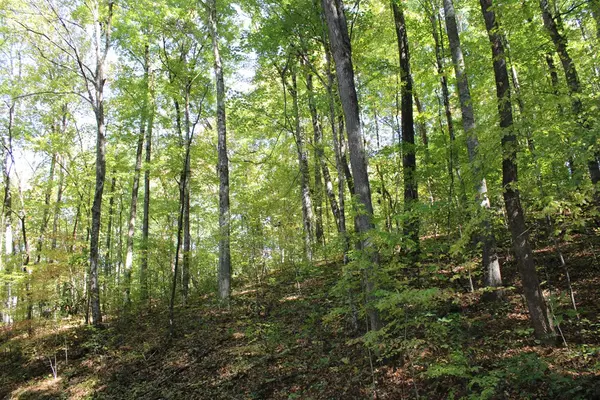 Hayesville, NC 28904,Lots 8,9 Shadow Woods Trail