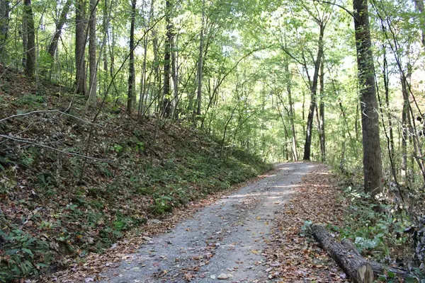 Hayesville, NC 28904,Lots 8,9 Shadow Woods Trail