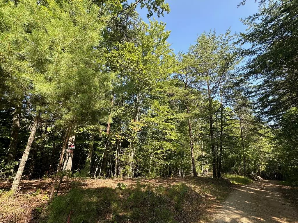 Mineral Bluff, GA 30559,Lot 5 Bear Mountain Pass