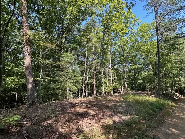 Mineral Bluff, GA 30559,Lot 5 Bear Mountain Pass