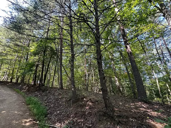 Mineral Bluff, GA 30559,Lot 5 Bear Mountain Pass